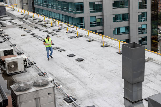 Best Roof Maintenance and Cleaning  in Woodland, CA