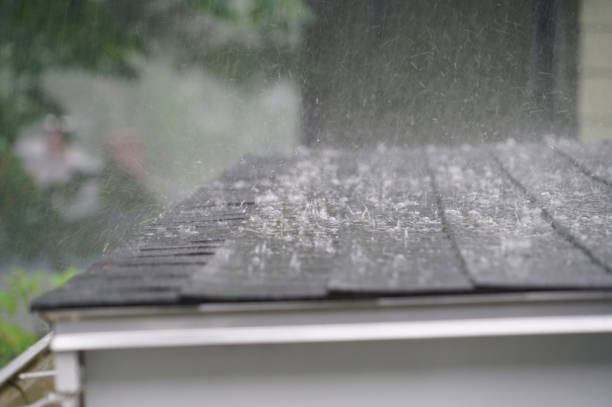 Trusted Woodland, CA Roofing Services Experts